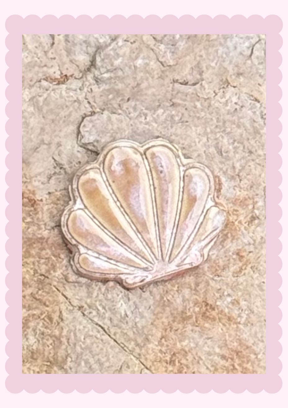 Magnets_Sea Shell