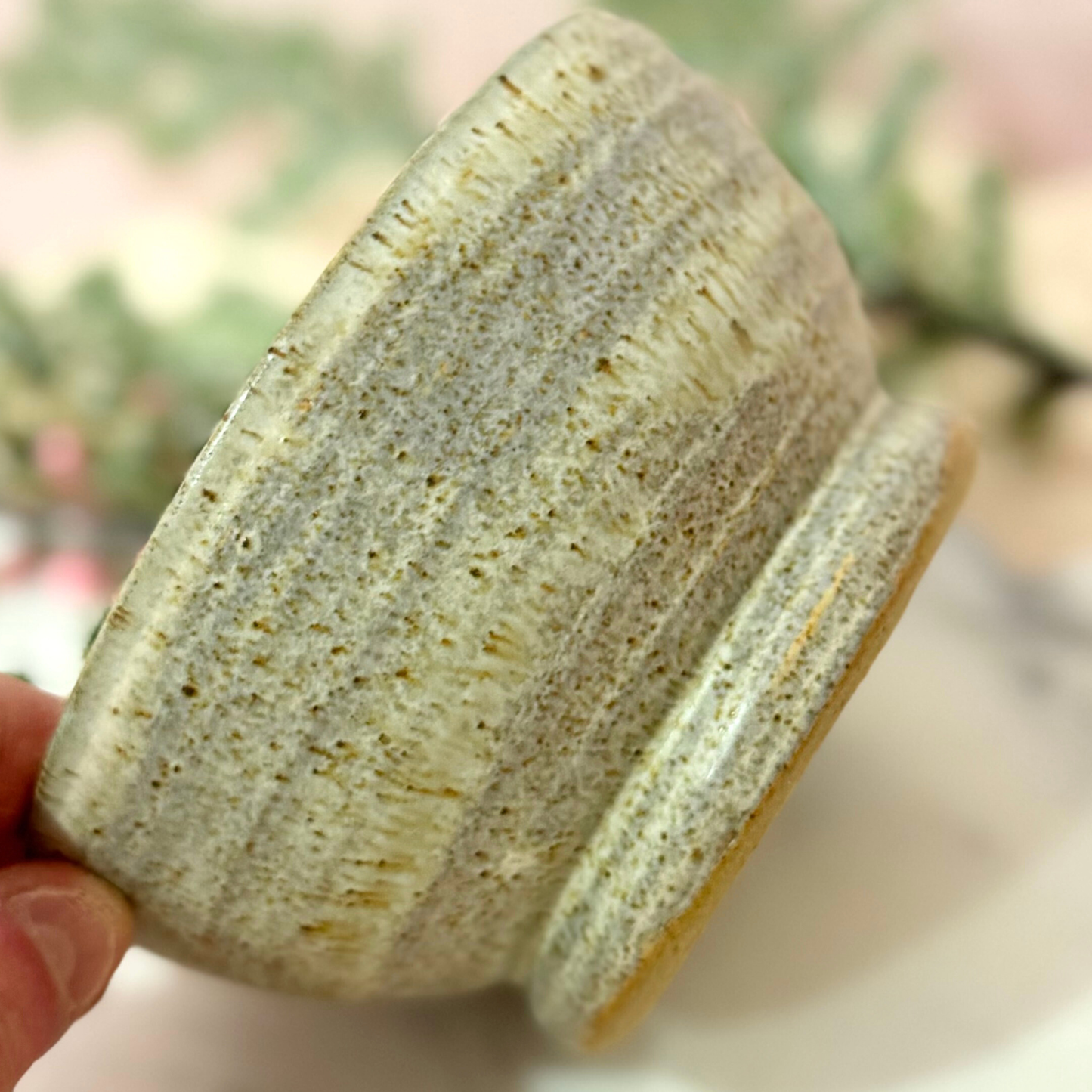 Robins speckled egg breakfast bowl