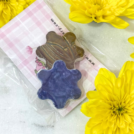 Magnets_Pair of small magnets