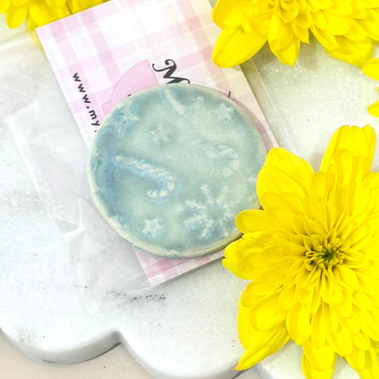 Magnets_Christmas Mint