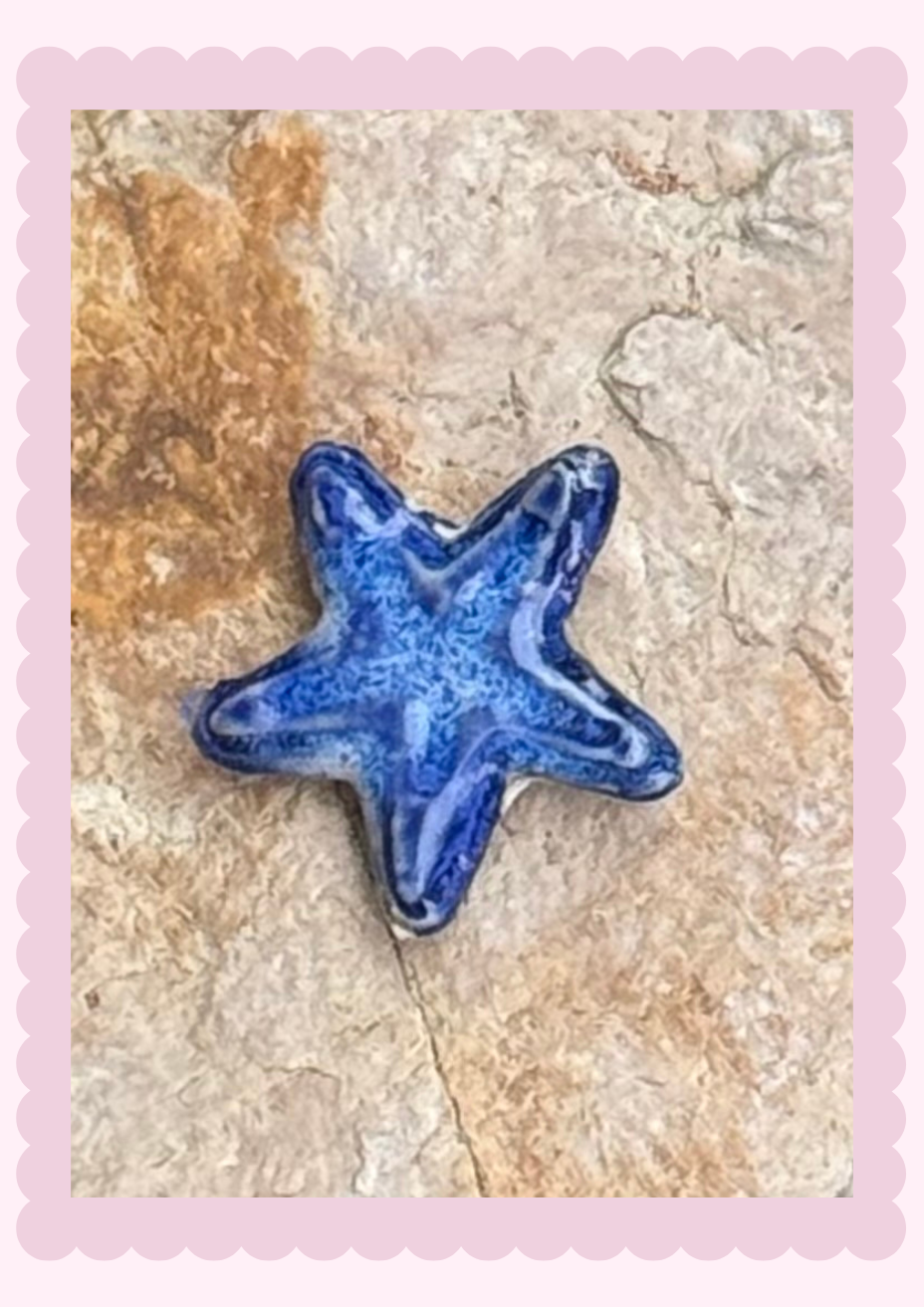 Magnets_Star Fish