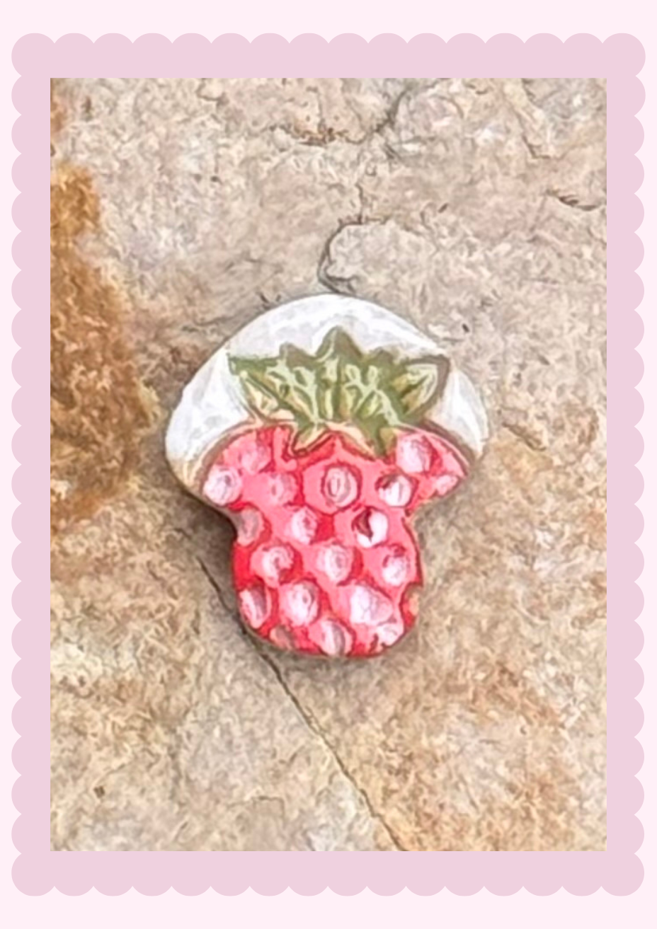 Magnets_Mushie berry